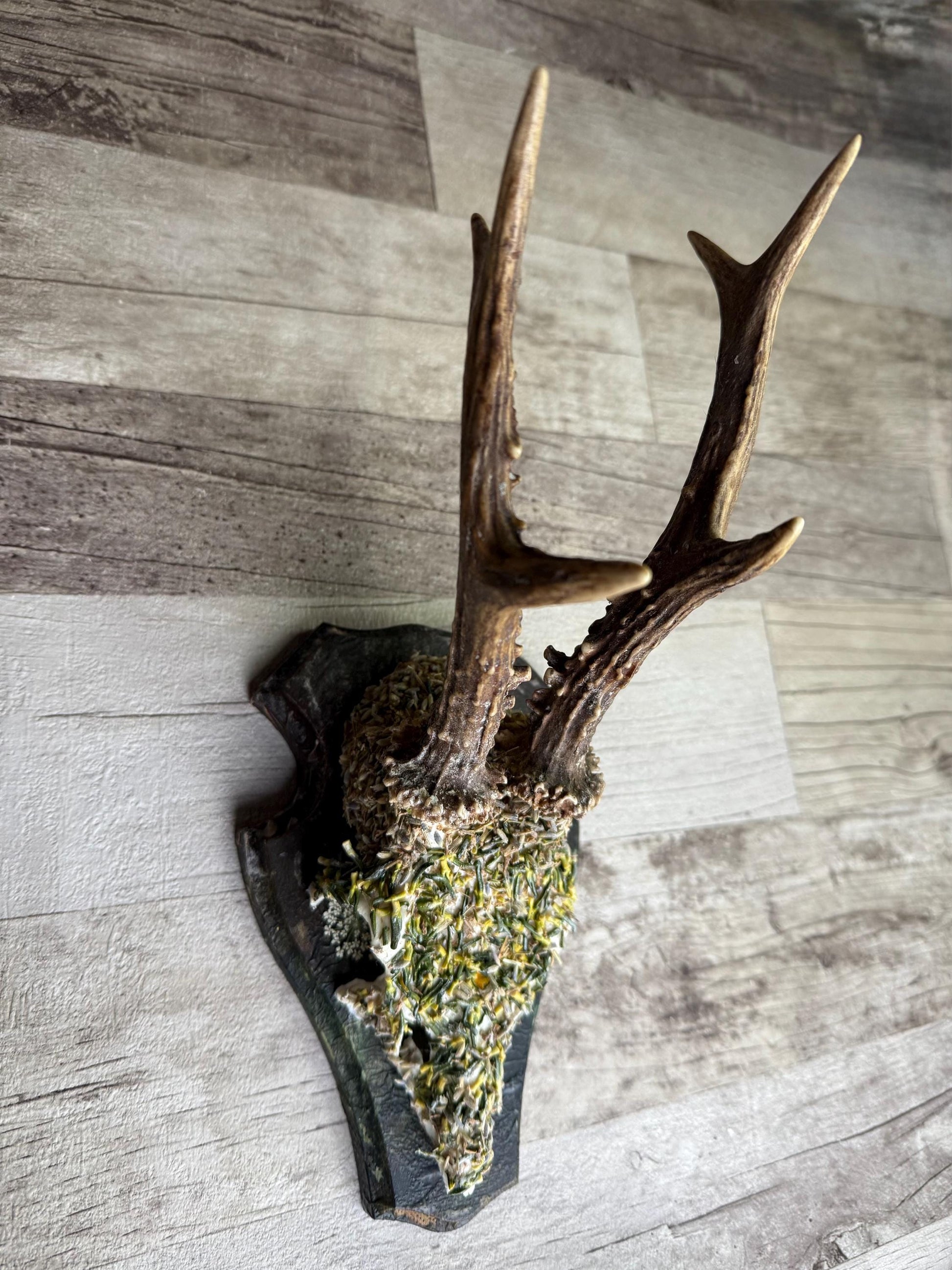 Dried Flowers Decorated Deer Skull Wall Decor Responsibly Sourced Green