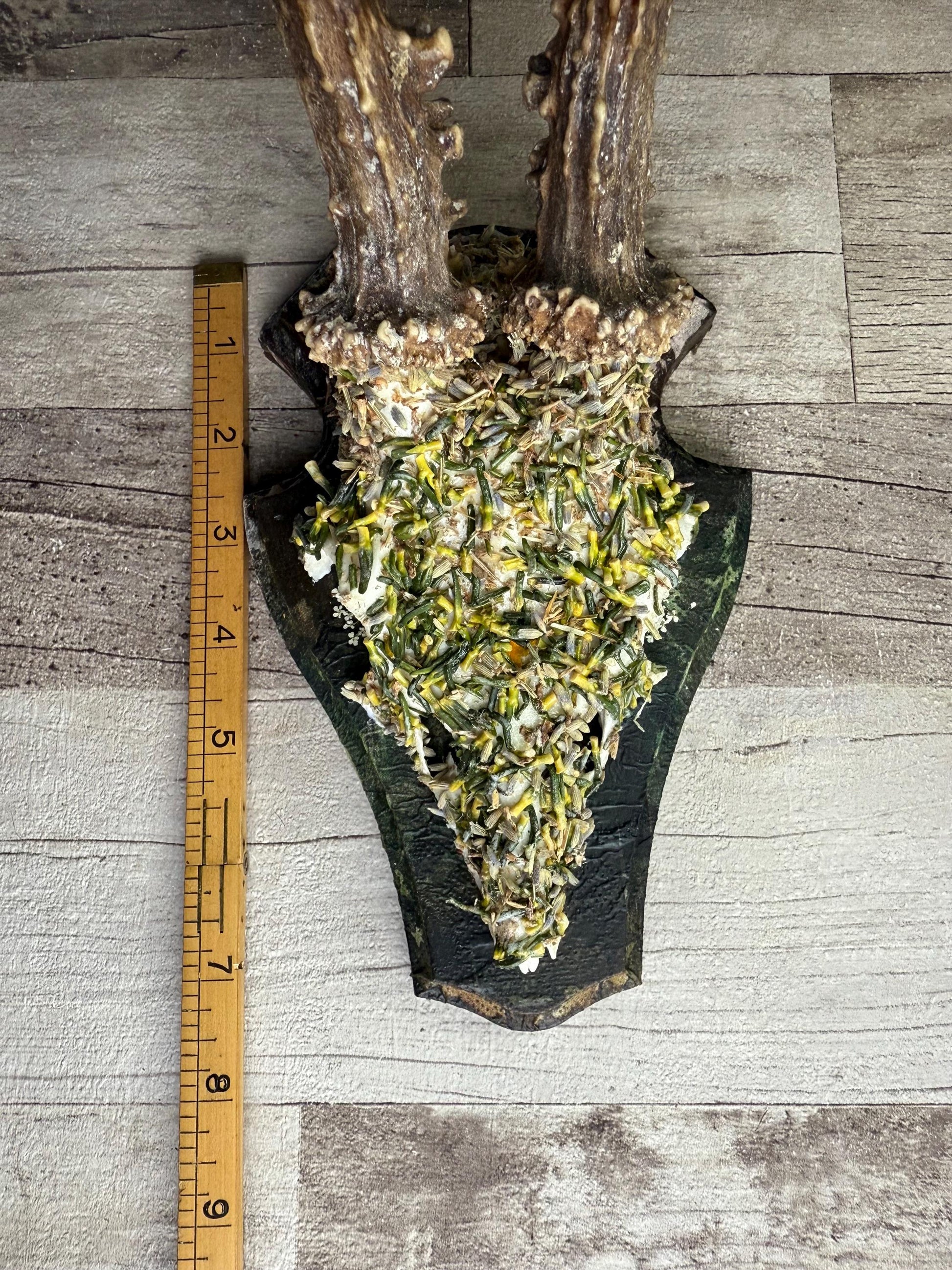 Dried Flowers Decorated Deer Skull Wall Decor Responsibly Sourced Green