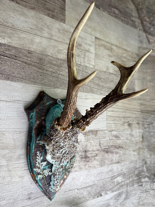 Dried Flowers Decorated Deer Skull Wall Decor Responsibly Sourced Blue