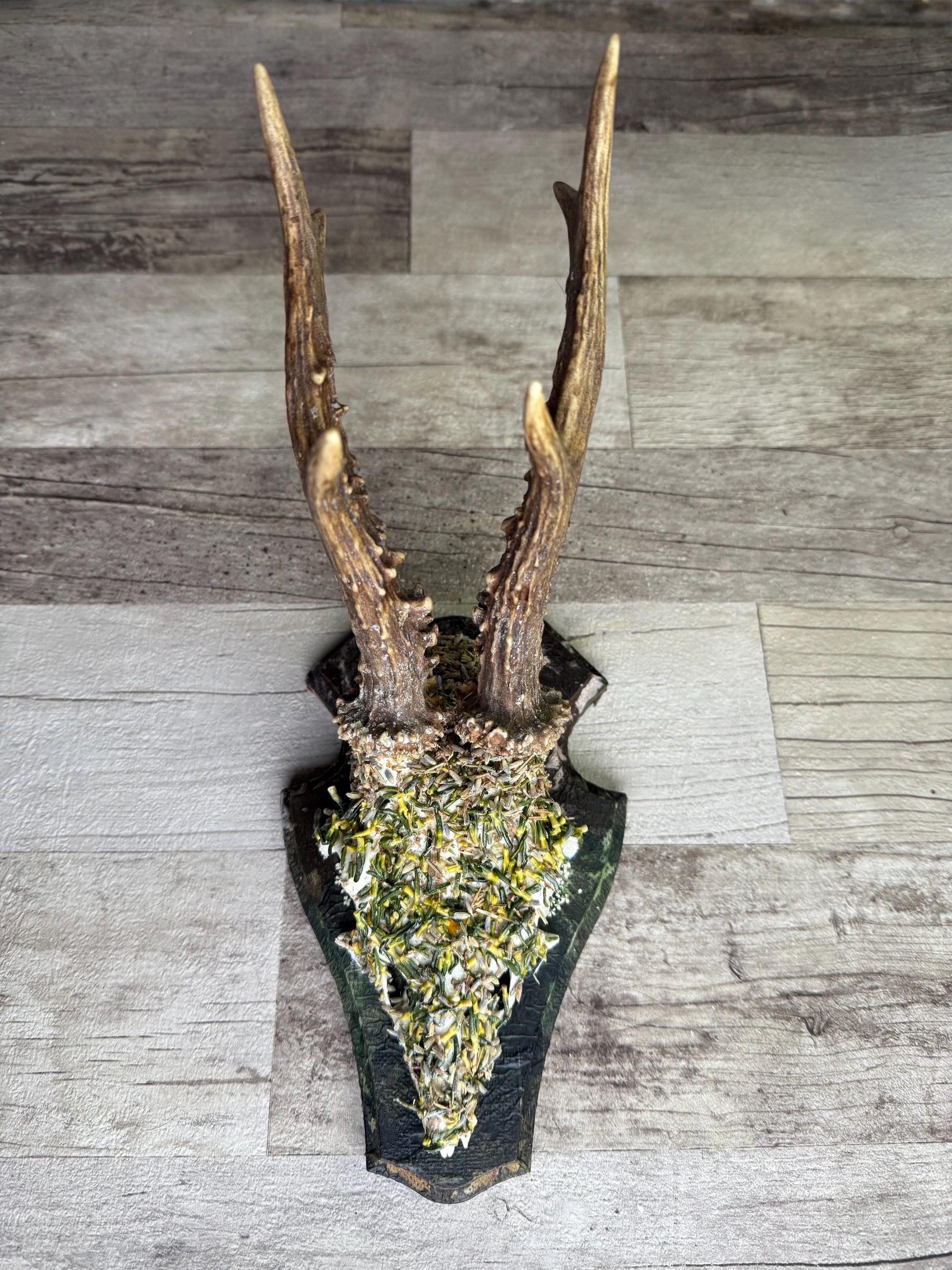 Dried Flowers Decorated Deer Skull Wall Decor Responsibly Sourced Green