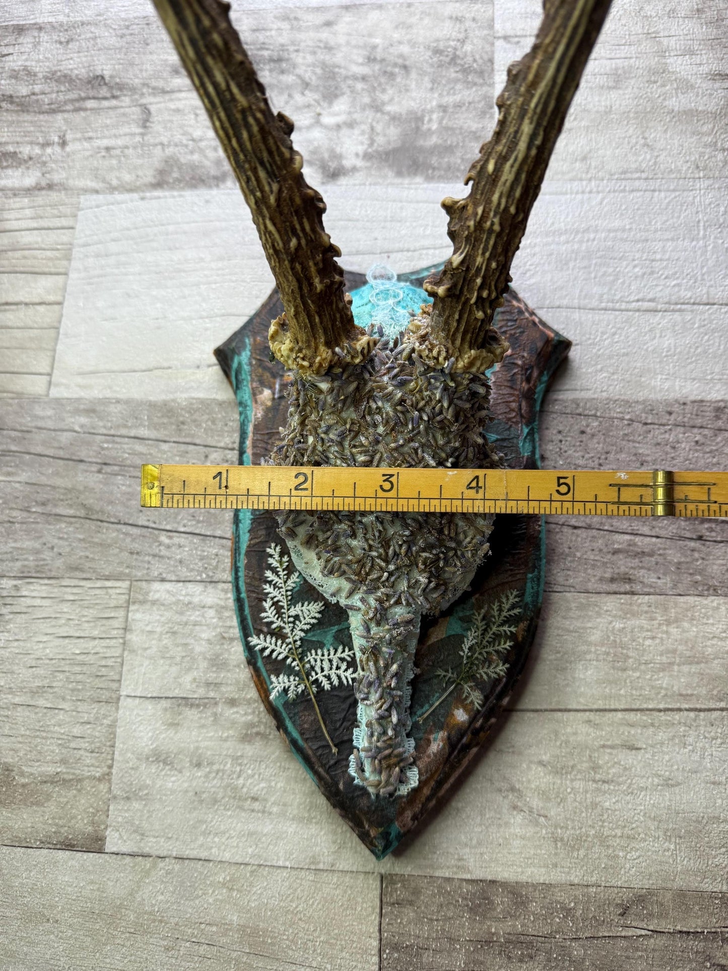Dried Flowers Decorated Deer Skull Wall Decor Responsibly Sourced Blue