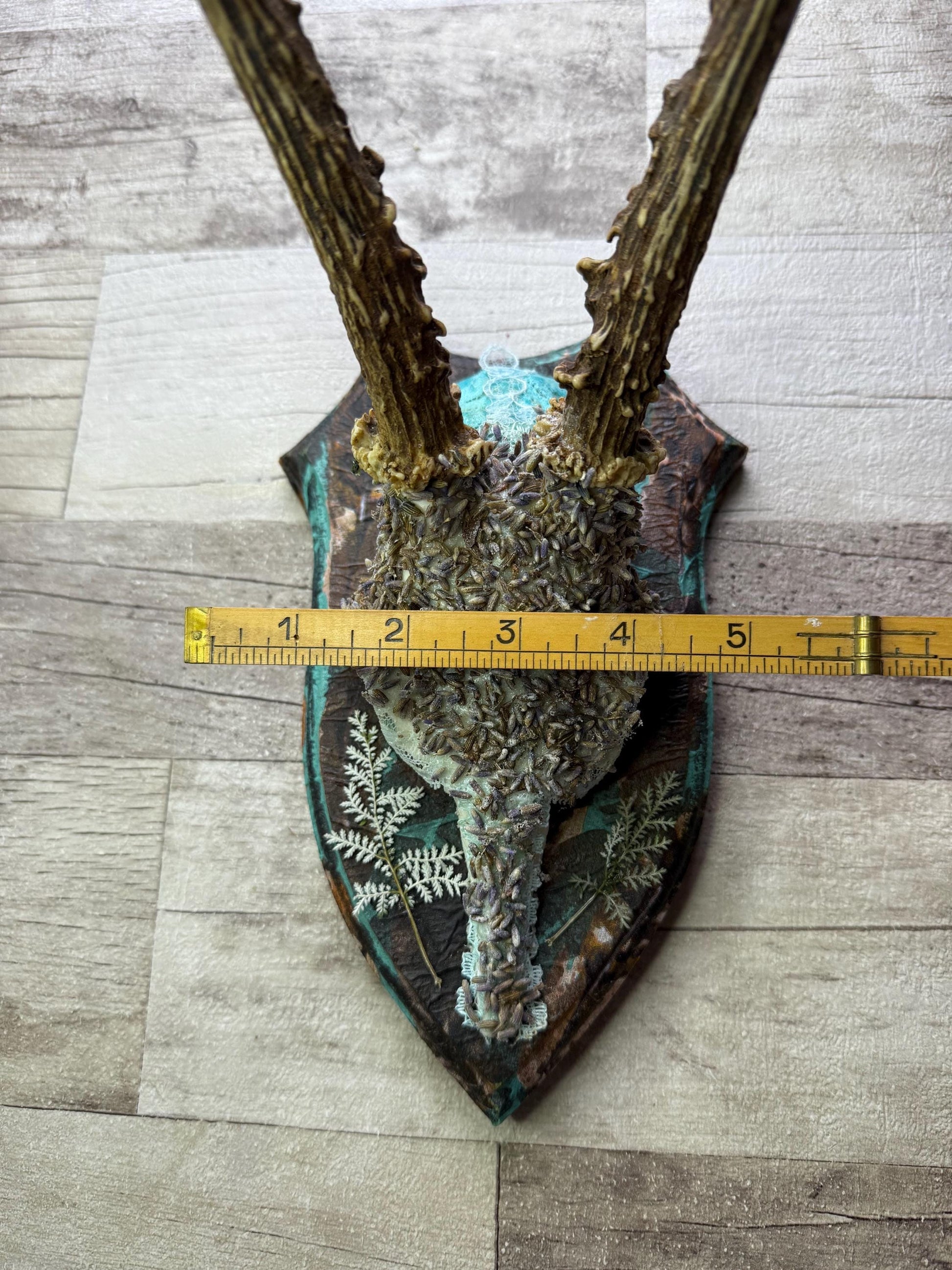 Dried Flowers Decorated Deer Skull Wall Decor Responsibly Sourced Blue