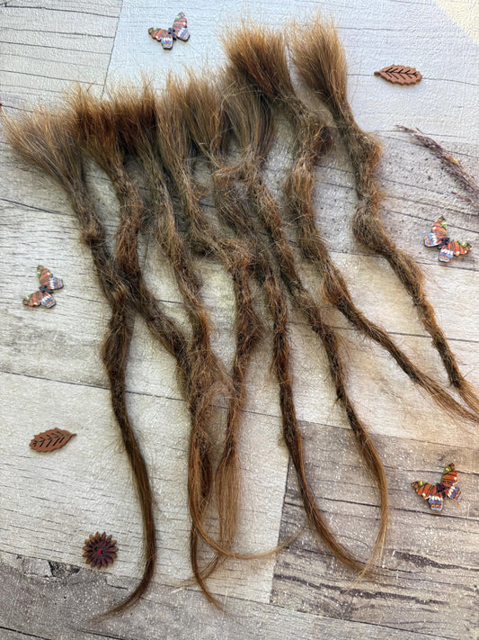 x8 100% Human Hair Dreadlock Extensions Brown 12 Inch Bumpy