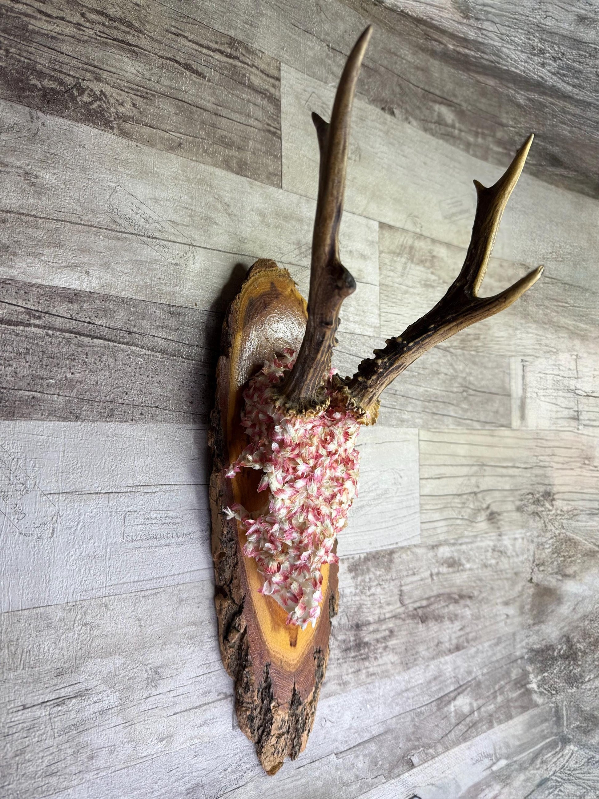 Dried Flowers Decorated Deer Skull Wall Decor Responsibly Sourced Pink White