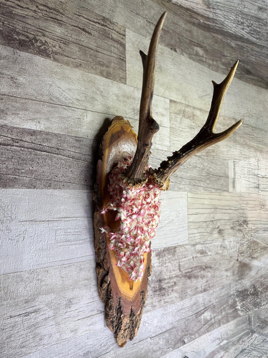 Dried Flowers Decorated Deer Skull Wall Decor Responsibly Sourced Pink White