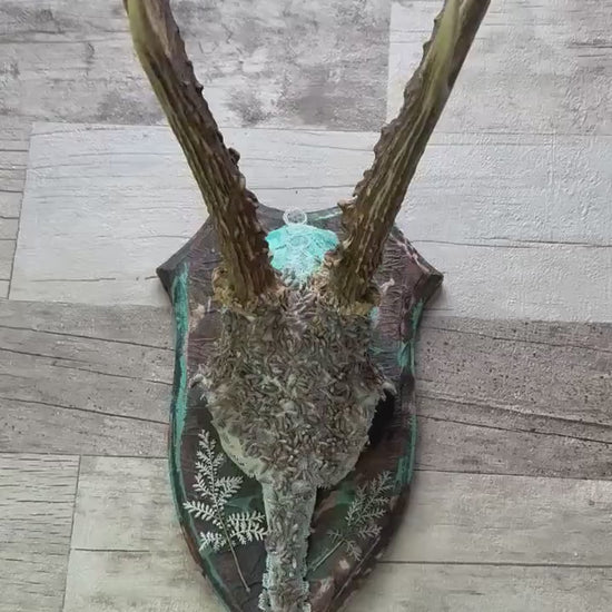 Dried Flowers Decorated Deer Skull Wall Decor Responsibly Sourced Blue