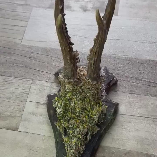 Dried Flowers Decorated Deer Skull Wall Decor Responsibly Sourced Green