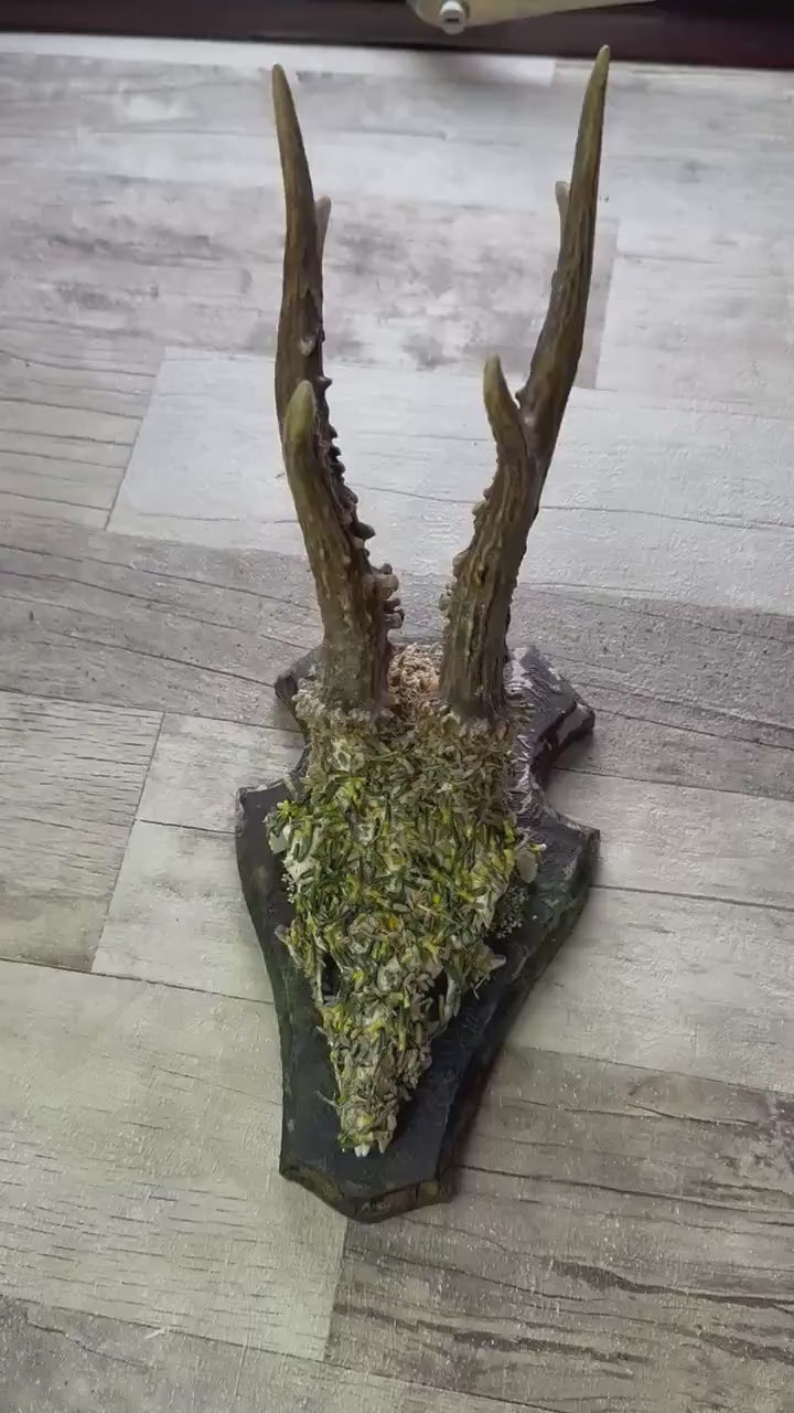 Dried Flowers Decorated Deer Skull Wall Decor Responsibly Sourced Green
